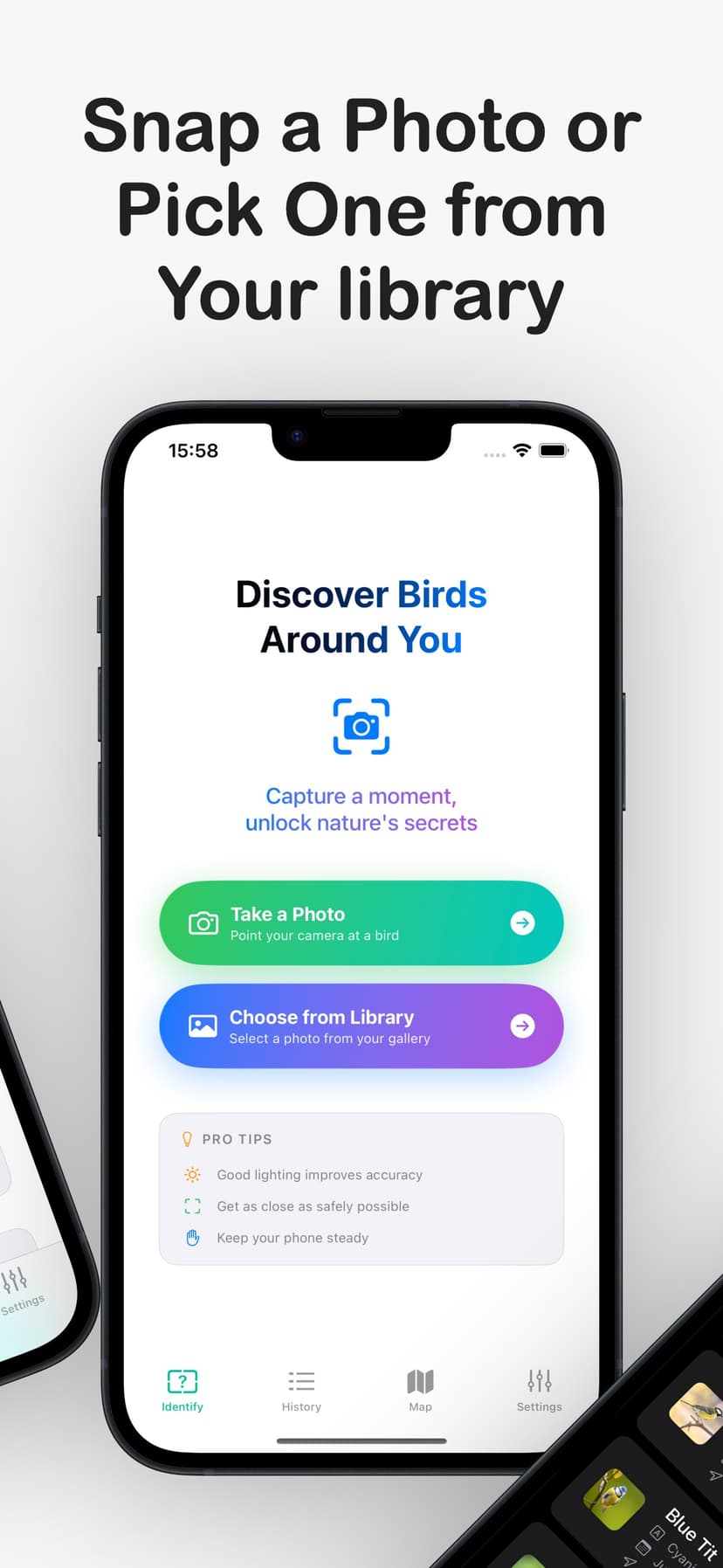 BirdSnap app species information and details